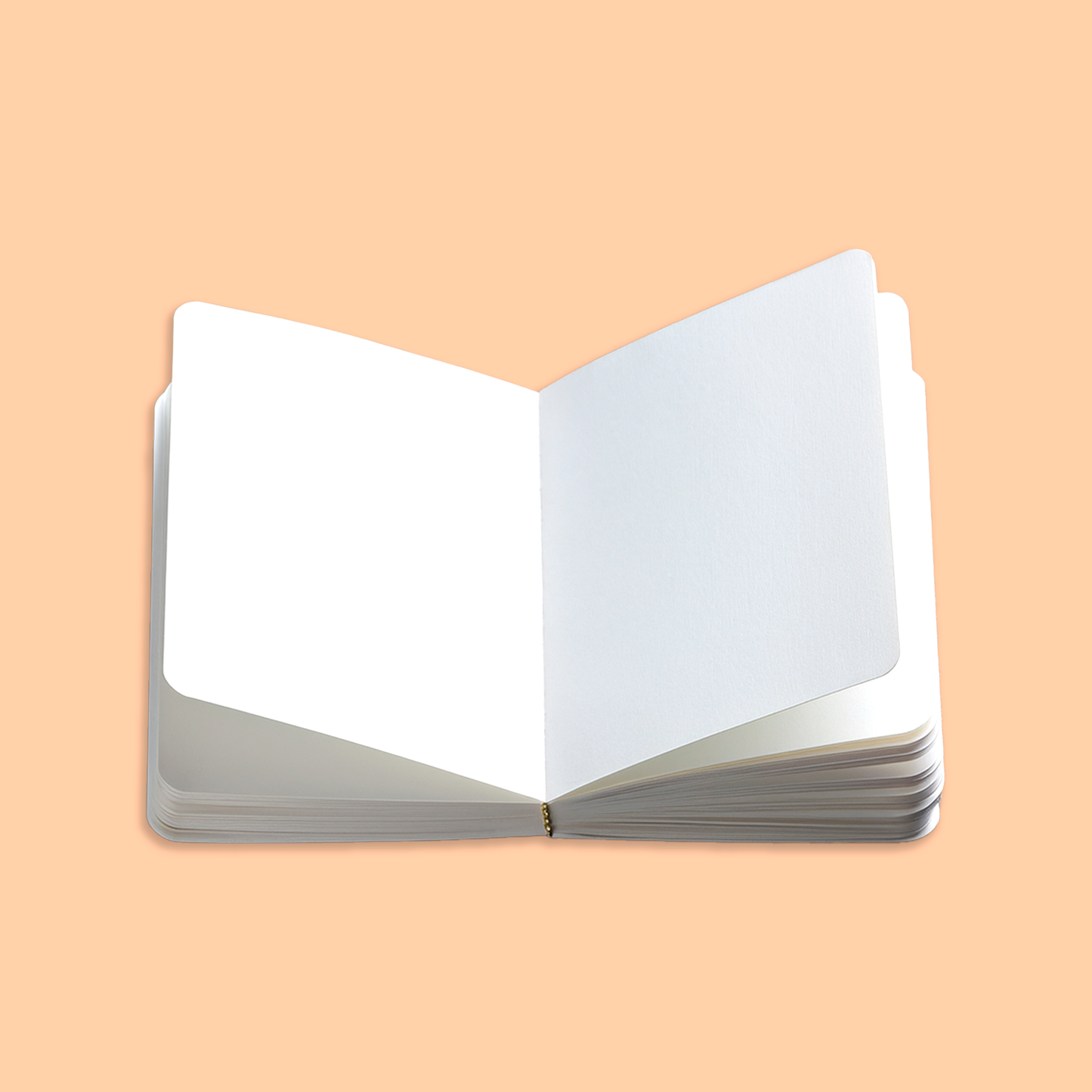 1 Carnet Aquarelle Supplémentaire (60 Pages)